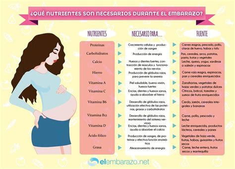 Infografía con los nutrientes clave para el segundo trimestre de embarazo múltiple: Yodo, Hierro, Vitamina D, Vitamina B12, Beta-carotenos.