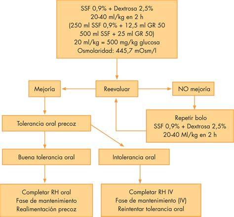 Infografía o esquema sobre el protocolo de rehidratación intravenosa en neonatos con hipernatremia