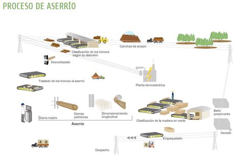 Infografía sobre el proceso de aserrado y preparación industrial de la madera