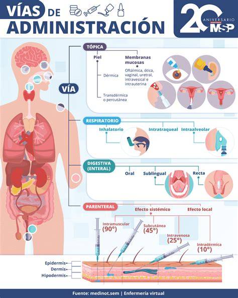 Esquema de las vías de administración del misoprostol (oral, vaginal, sublingual)
