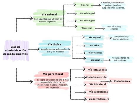 Esquema de las diferentes vías para gestionar citas sanitarias