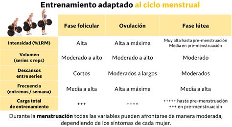 Esquema de las diferentes fases del destete