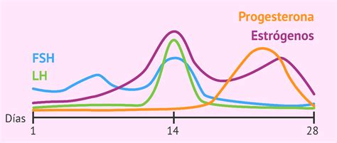 Gráfico de seguimiento de niveles hormonales en HC