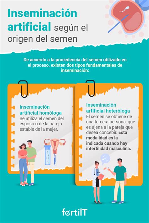 Infografía: Comparación de la ubicación de depósito del semen en inseminación casera vs. clínica