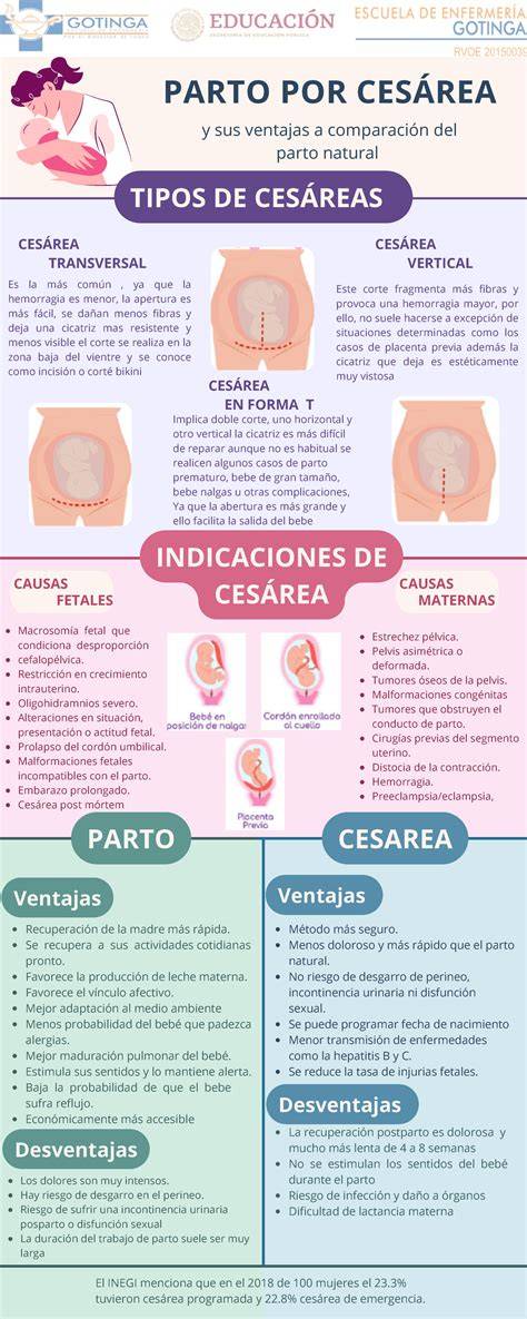 Esquema comparativo de cicatriz de cesárea vertical y horizontal