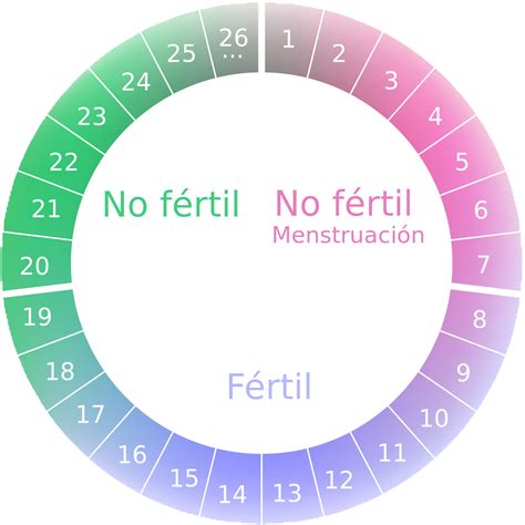 Esquema de un calendario menstrual con ventana fértil marcada