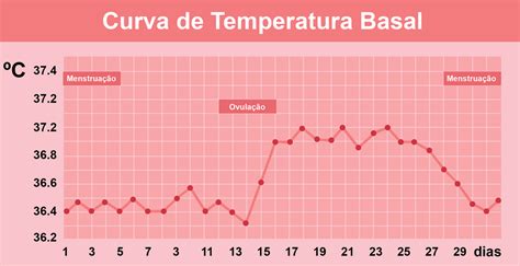 Gráfico de temperatura basal corporal mostrando el aumento post-ovulación