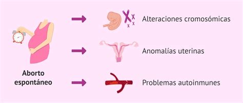 Esquema de las causas principales del aborto espontáneo