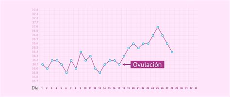 Gráfico de temperatura basal corporal a lo largo de un ciclo menstrual, mostrando el aumento después de la ovulación