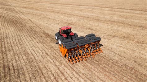 Preparación del suelo y proceso de plantación de una enredadera