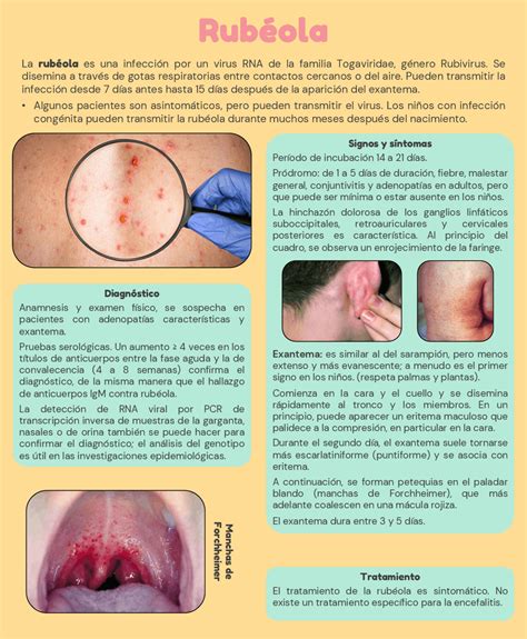 Esquema de las consecuencias de la rubéola según el trimestre de embarazo