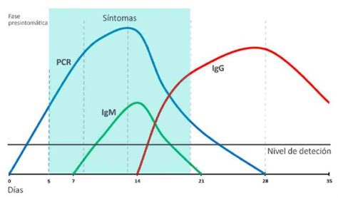 Diagrama de la respuesta de anticuerpos IgM e IgG tras una infección