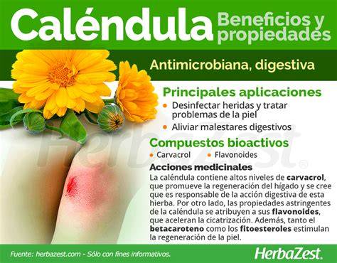 Esquema de las propiedades de la caléndula en la piel