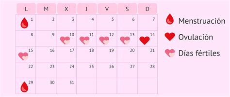Ilustración de un calendario menstrual con los días fértiles resaltados