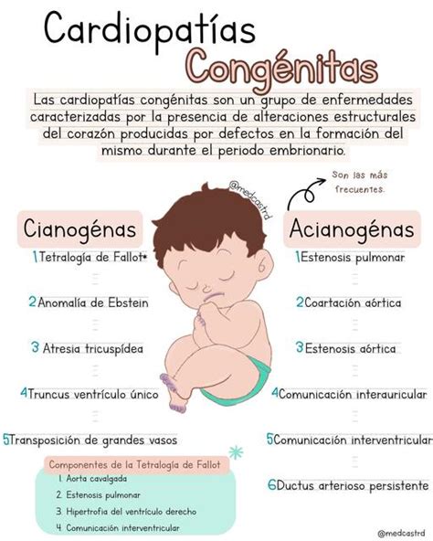 Infografía: Signos y síntomas de cardiopatías congénitas en niños