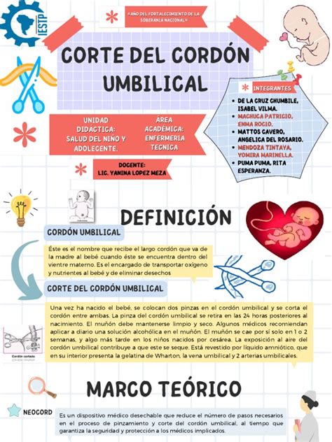 infografía sobre la anatomía del cordón umbilical y posibles puntos de infección