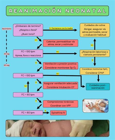 diagrama de flujo mostrando los factores de riesgo para la onfalitis neonatal