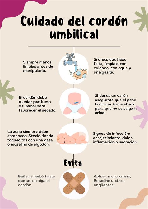 infografía comparativa entre cura en seco y uso de antisépticos para el cuidado del cordón umbilical