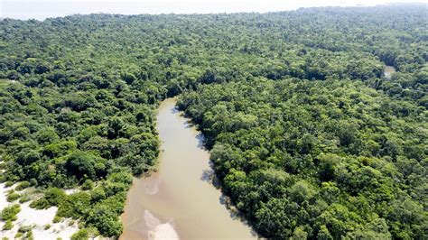 Campo de terra preta en el Amazonas, contrastando con el suelo rojizo circundante