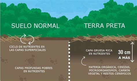 Infografía comparando la composición y fertilidad de la terra preta con un suelo amazónico típico