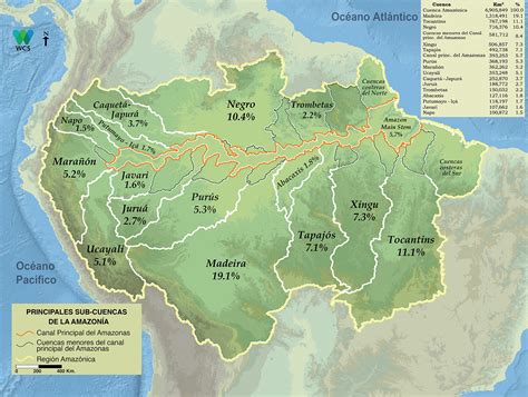 Mapa de la cuenca del Amazonas, señalando las áreas donde se ha encontrado terra preta