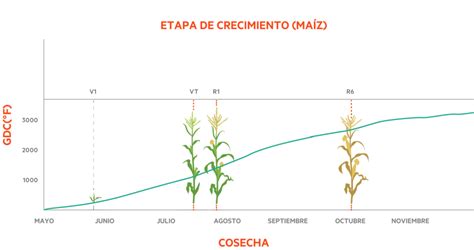 Gráfico que muestra el aumento de rendimiento de cultivos en suelos enriquecidos con biochar