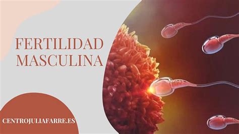 Esquema de la relación entre alimentación y fertilidad masculina