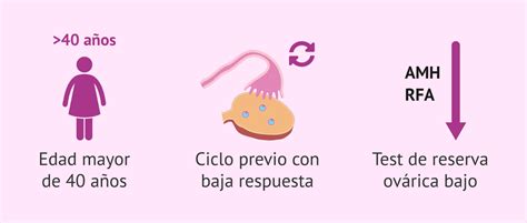 Infografía sobre los criterios de Bolonia para la baja respuesta ovárica