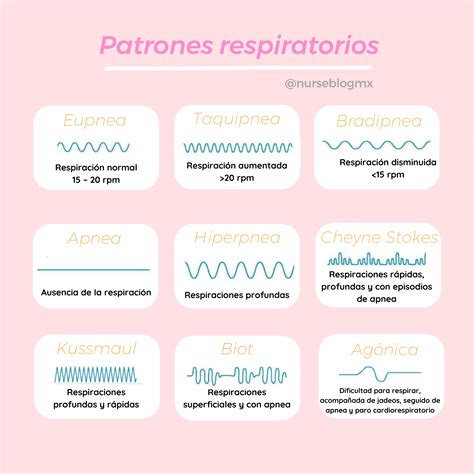 Gráfico comparativo de la anatomía respiratoria neonatal y adulta