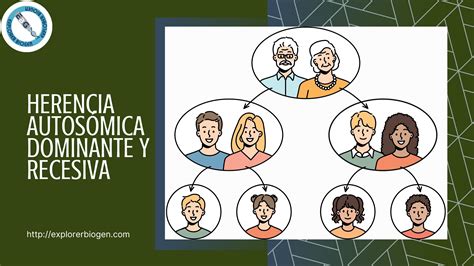 Ilustración de herencia autosómica recesiva y dominante