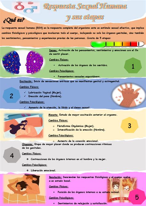Infografía sobre la respuesta humana a las caras en las miniaturas