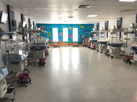 Esquema de las unidades de cuidados neonatales