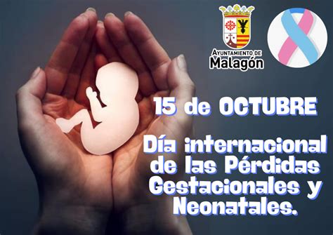 Infografía sobre estadísticas de pérdidas gestacionales y neonatales