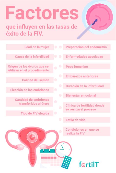 infografía de factores de éxito en FIV