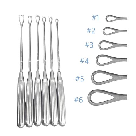 Set de legras dentales con diferentes formas y tamaños