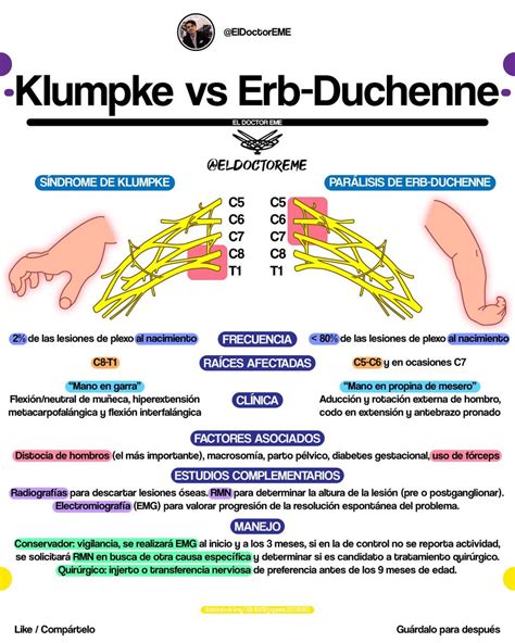 Esquema comparativo de las afectaciones en parálisis de Erb-Duchenne y Klumpke