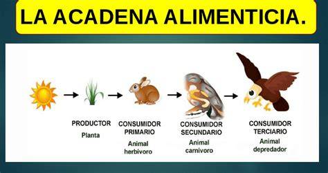 Esquema de la cadena de alerta alimentaria europea