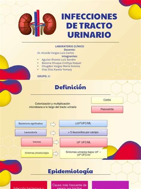 Gráfico de flujo del diagnóstico y tratamiento de infecciones seminales