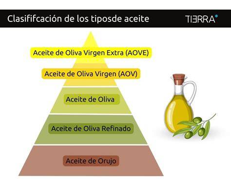 Infografía: Tipos de aceite de oliva y sus características principales