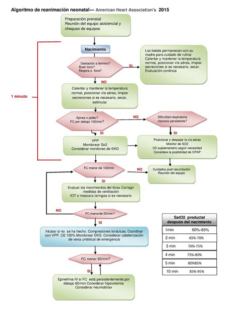 Algoritmo de reanimación neonatal básica