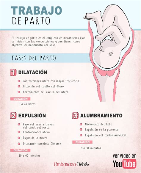 Infografía con las fases del parto y sus características principales
