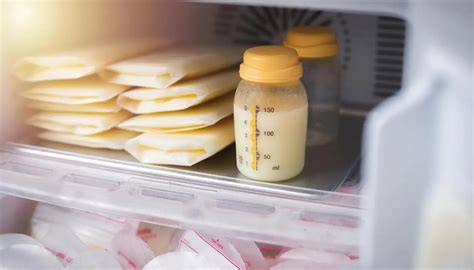 Imagen de envases de leche materna almacenados en refrigerador y congelador