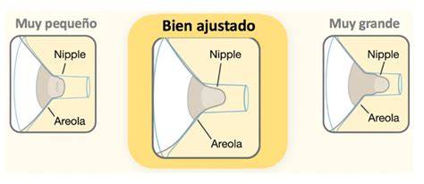 Esquema mostrando un pezón correctamente ajustado en un embudo de sacaleches vs. uno incorrectamente ajustado (demasiado pequeño o demasiado grande)