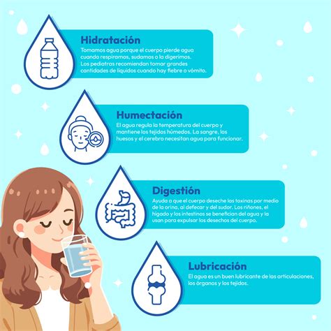 Variedad de líquidos saludables para la hidratación infantil