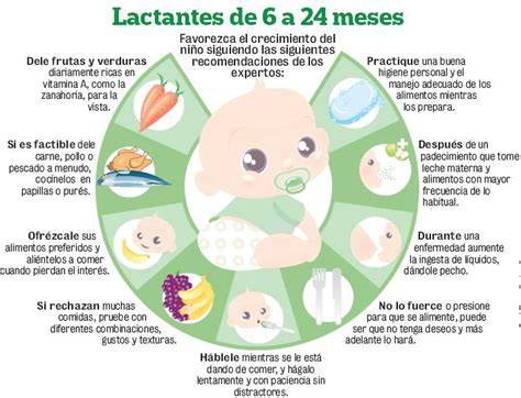 Esquema de las necesidades nutricionales de un lactante y el papel de la alimentación complementaria
