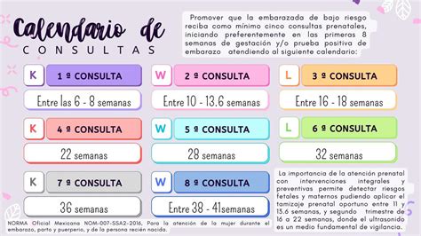Calendario de consultas de seguimiento del embarazo