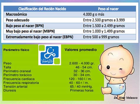 Infografía: Clasificación del peso al nacer según la OMS y su prevalencia global