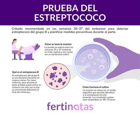 Esquema ilustrativo de la transmisión vertical del estreptococo del grupo B de la madre al recién nacido durante el parto