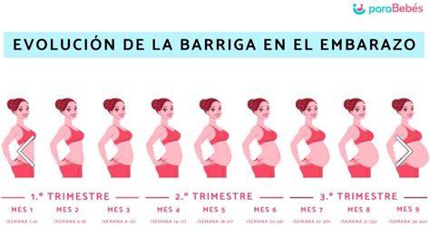 Fotografía de una mujer embarazada en el tercer trimestre, mostrando el tamaño de la barriga