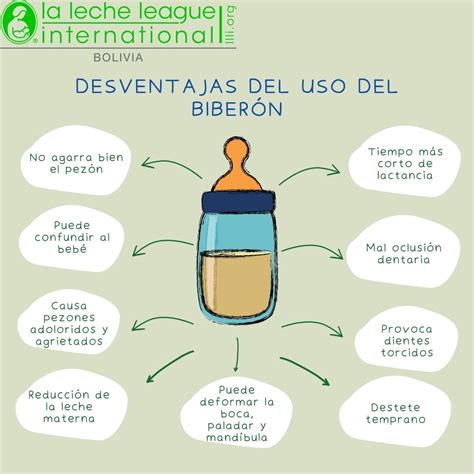 Esquema visual de la progresión del uso del biberón al vaso para un niño de 1 año